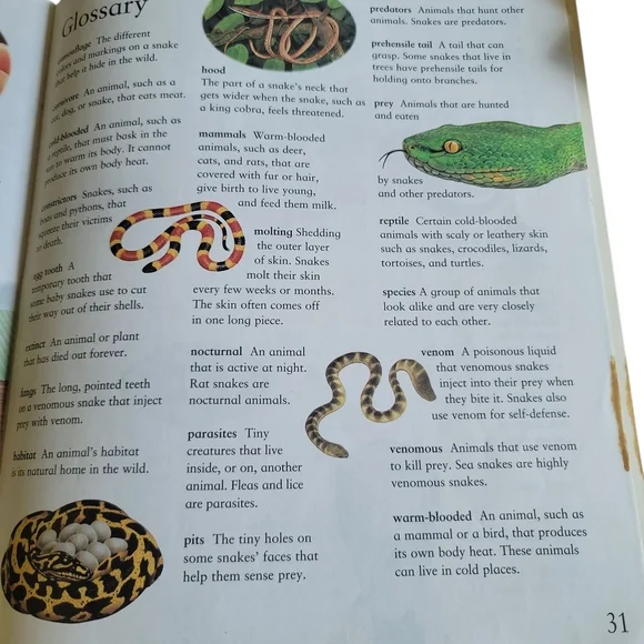 Snakes -  Hard Back Book - Picture 4 of 5